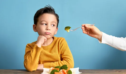 Mindful Nutrition for a Fussy Eater